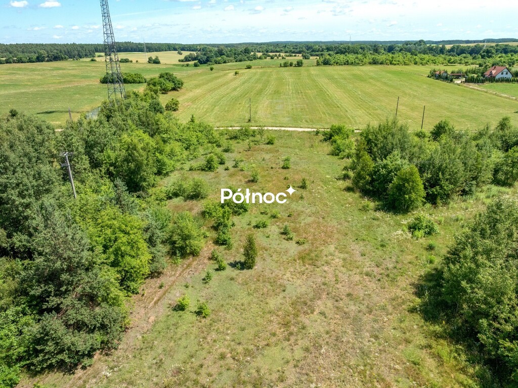 Zdjęcie 19