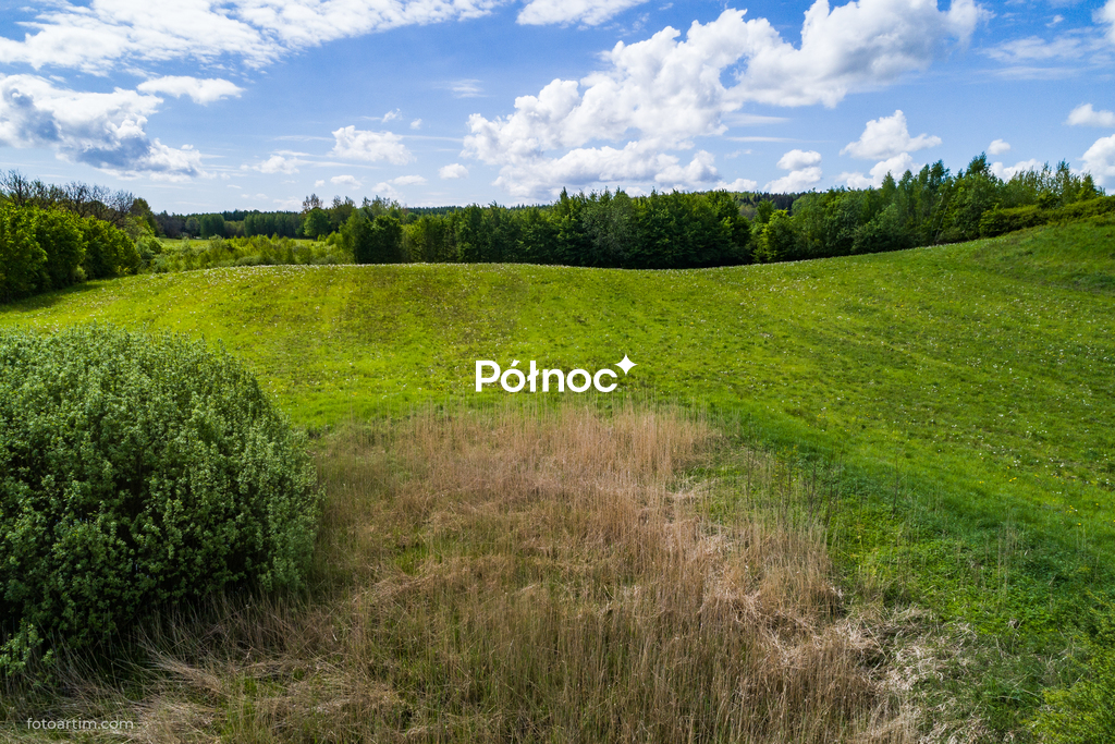Zdjęcie 8