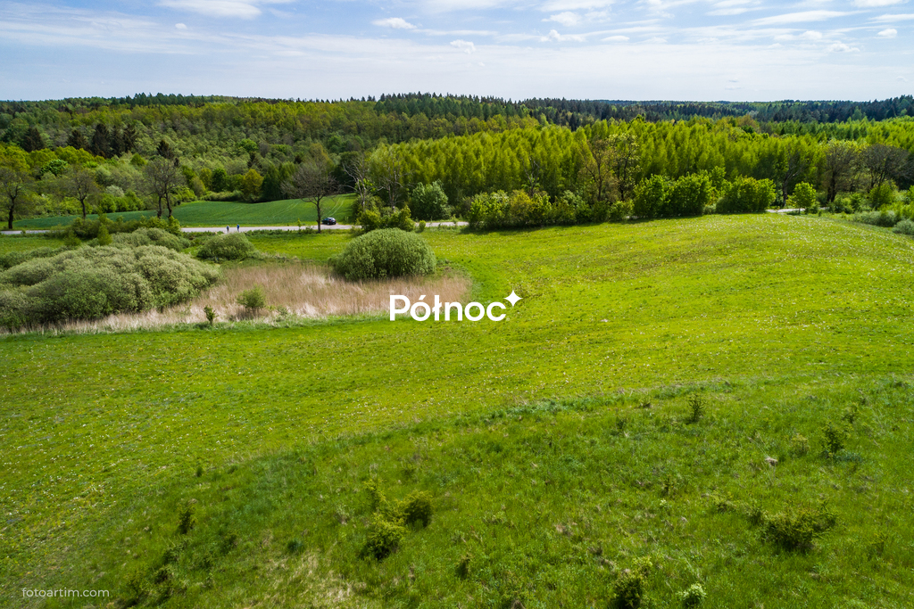 Zdjęcie 9