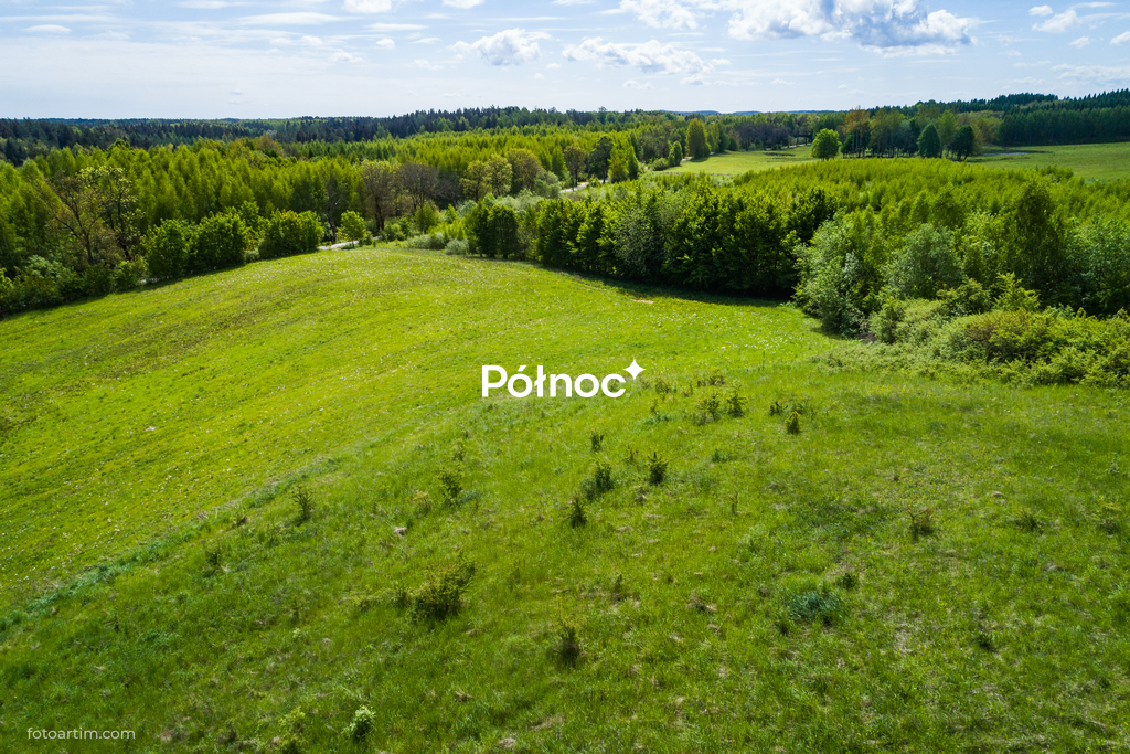 Zdjęcie 10