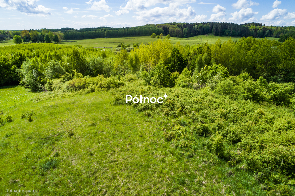 Zdjęcie 11