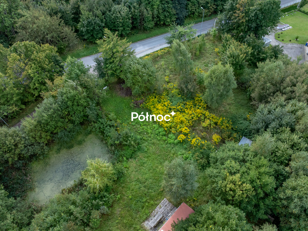 Zdjęcie 7
