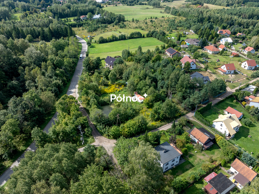 Zdjęcie 11