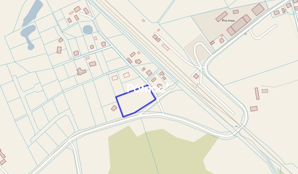 Zdjęcie 12