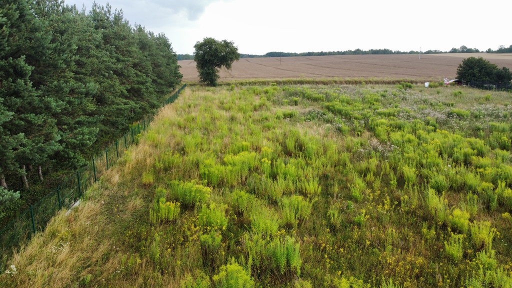 Zdjęcie 5