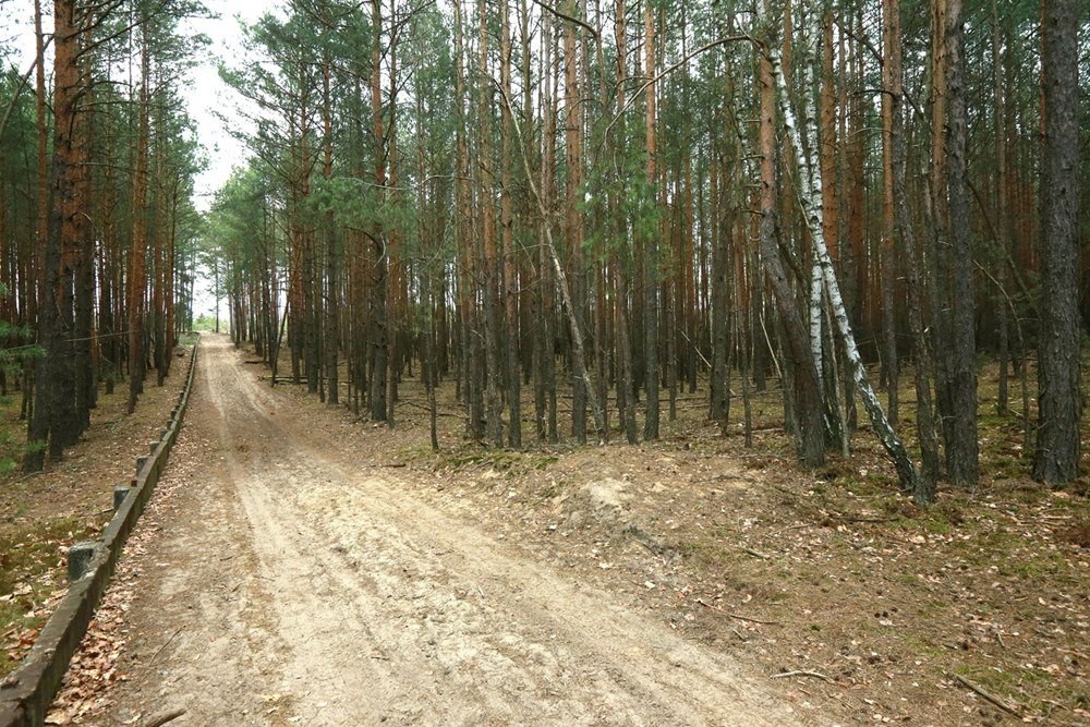 Zdjęcie 2