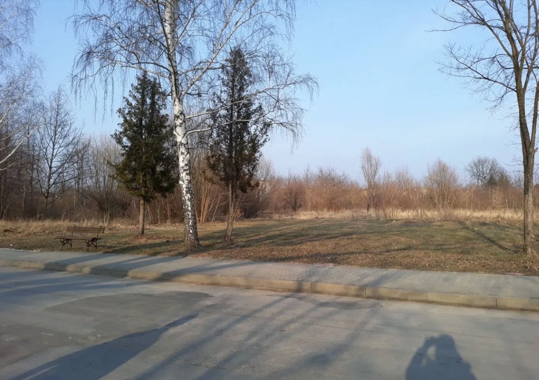Zdjęcie 2