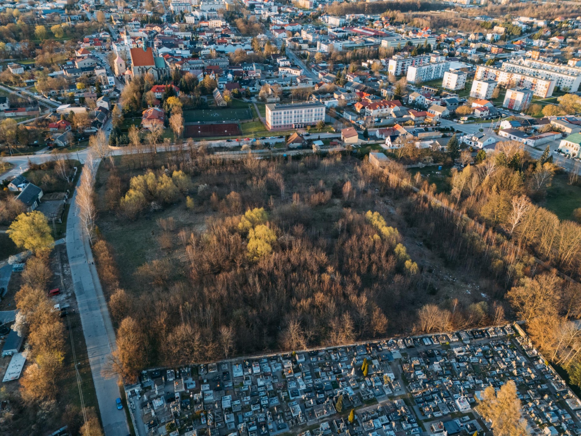 Zdjęcie 9