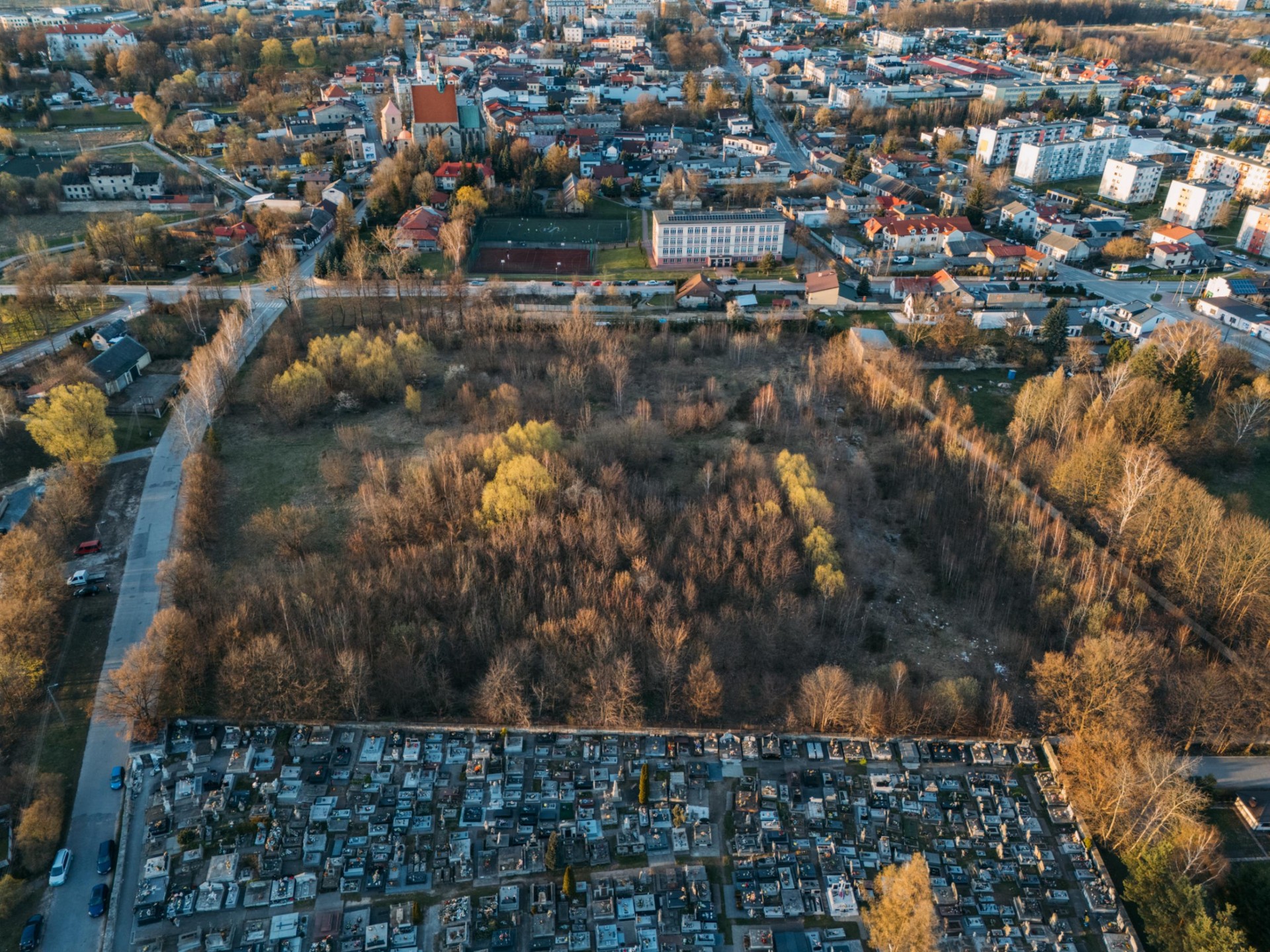Zdjęcie 10