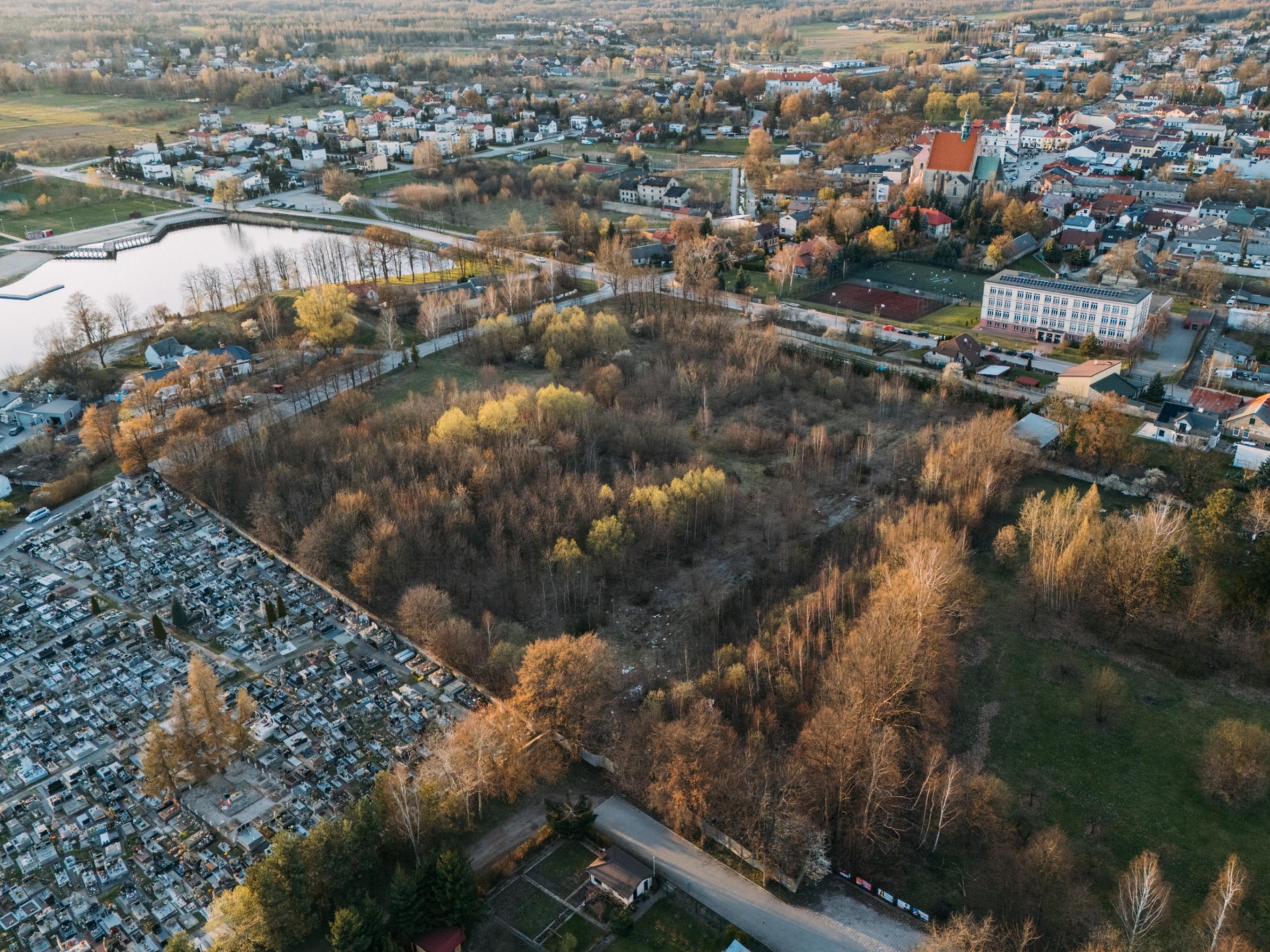 Zdjęcie 12