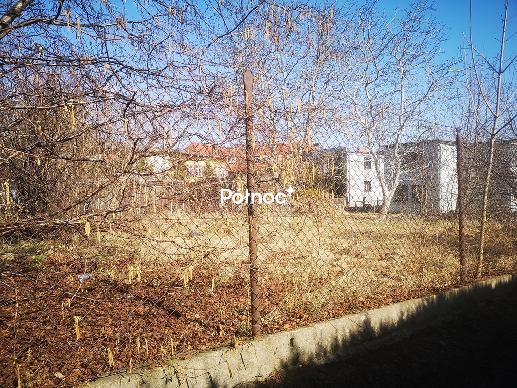Zdjęcie 3