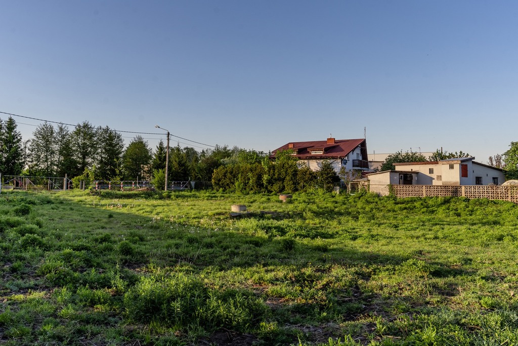 Zdjęcie 12