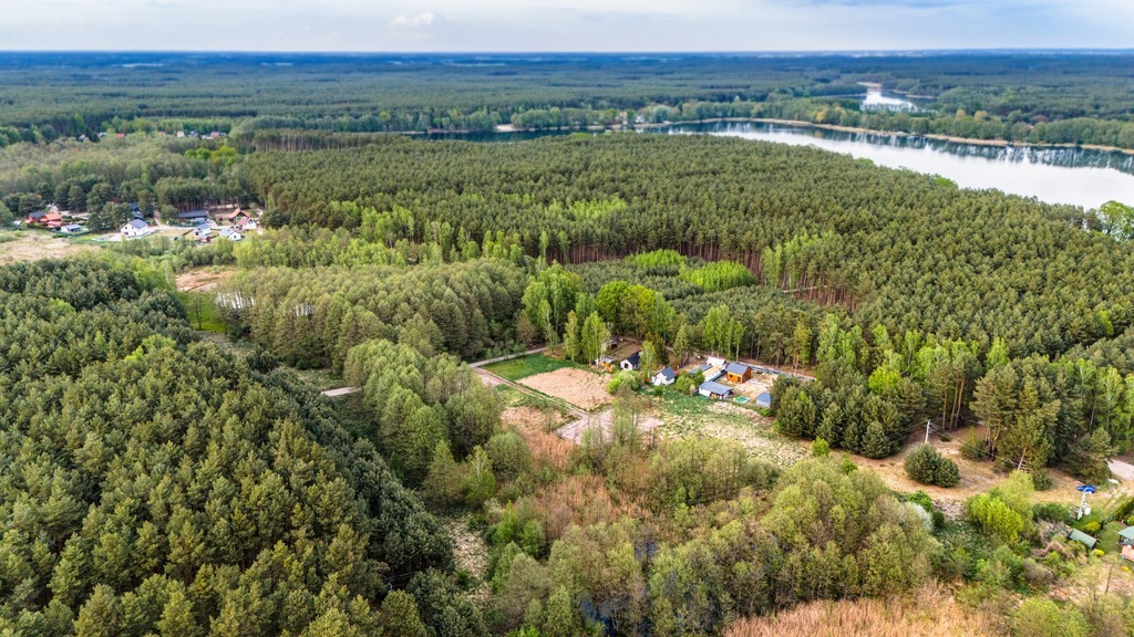 Zdjęcie 14