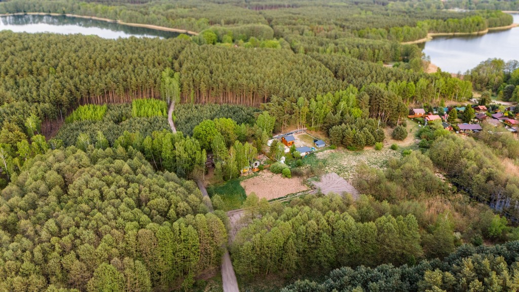 Zdjęcie 15