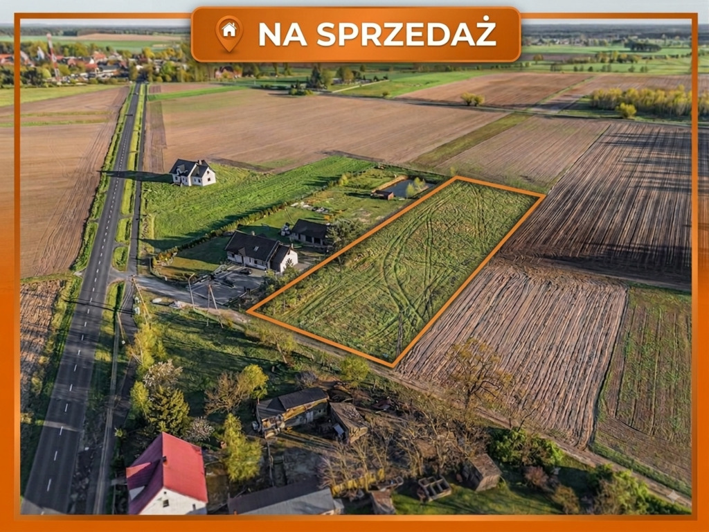 Zdjęcie 2