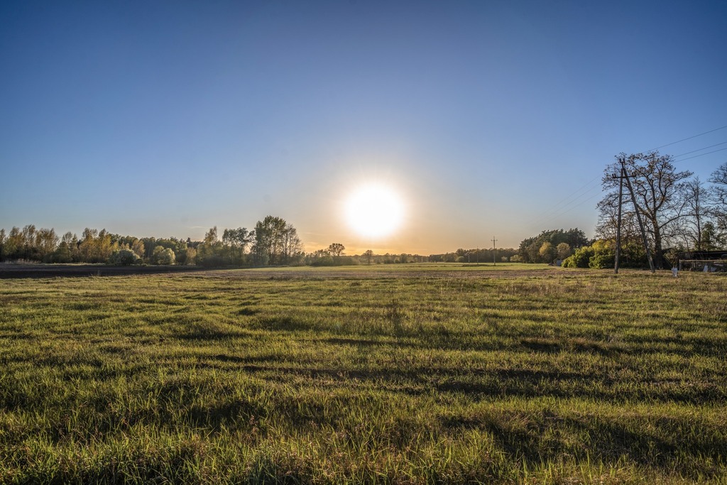 Zdjęcie 11