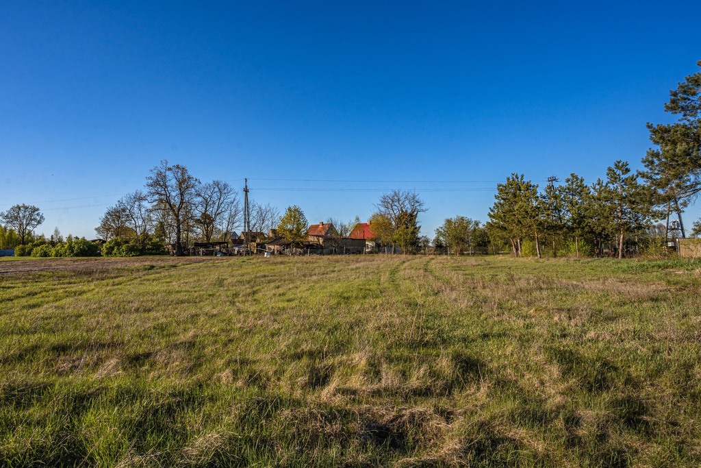 Zdjęcie 13