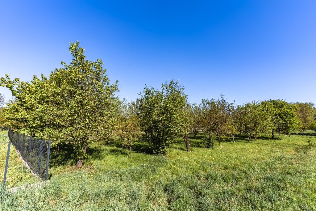 Zdjęcie 12