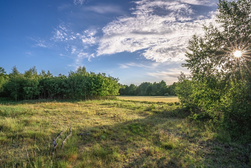 Zdjęcie 13