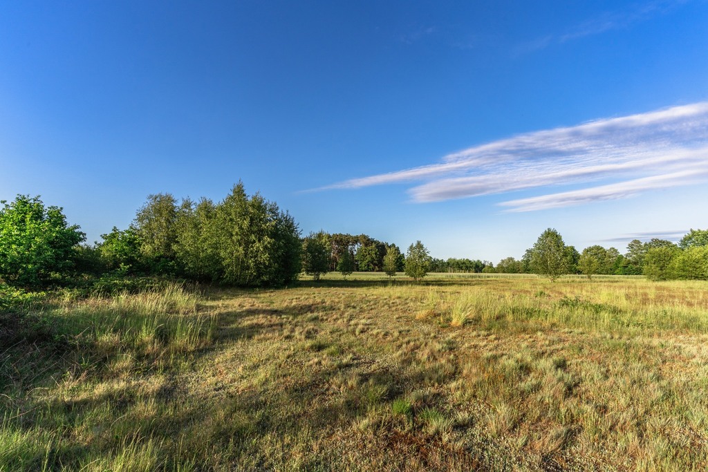 Zdjęcie 14