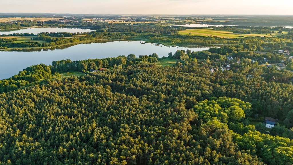 Twój kawałek lasu nad jeziorem Wieleńskim MPZP!