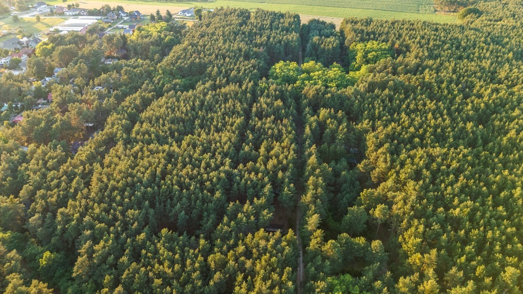 Zdjęcie 14