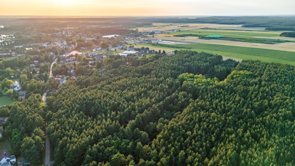 Zdjęcie 16