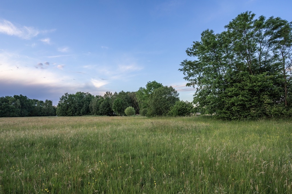 Zdjęcie 20