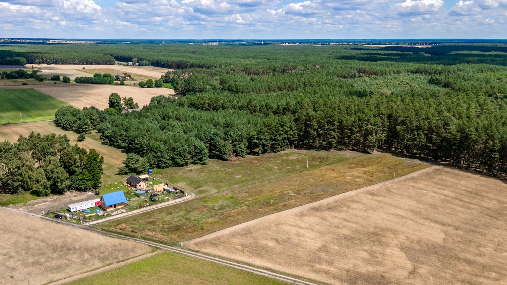 Zdjęcie 18