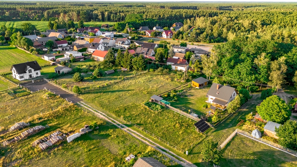 Zdjęcie 12