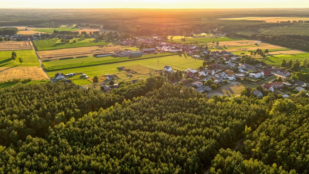 Zdjęcie 15