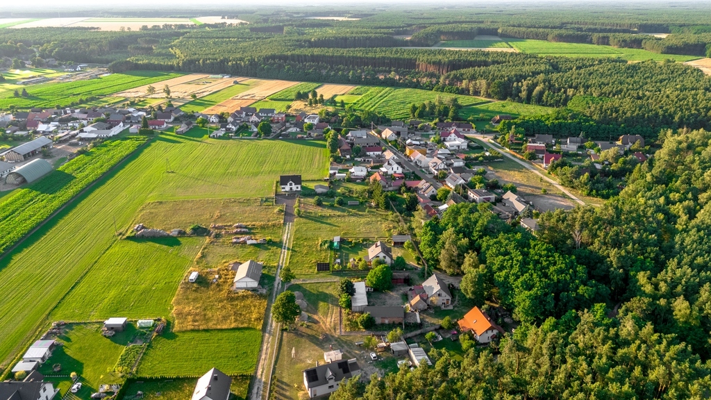 Zdjęcie 16