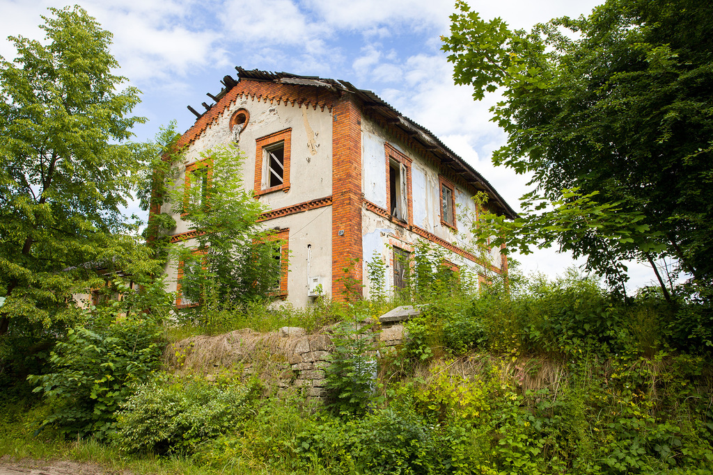 Zdjęcie 11