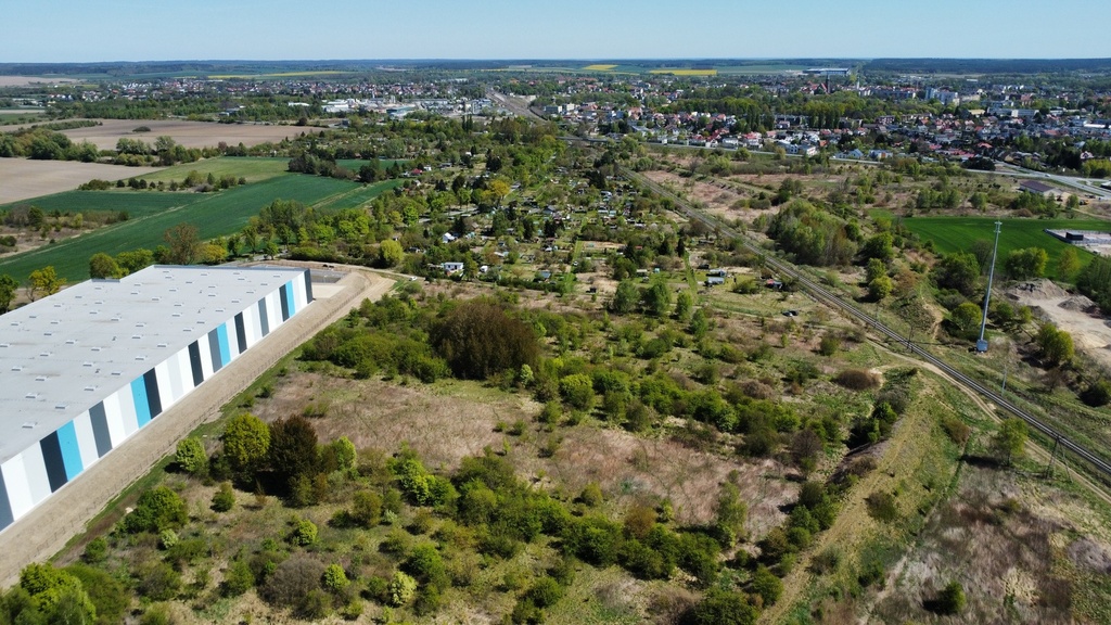 Zdjęcie 10