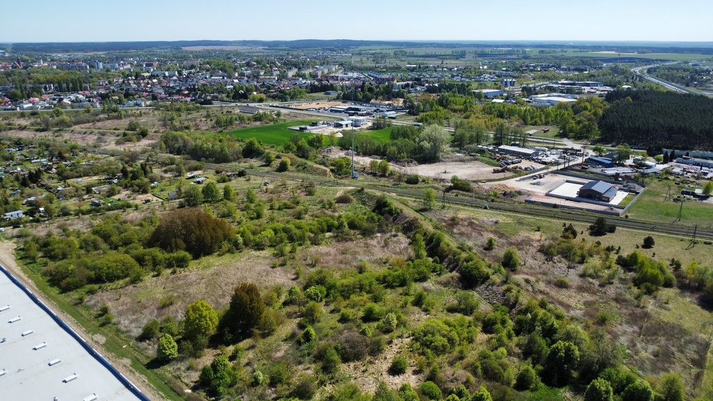 Zdjęcie 11