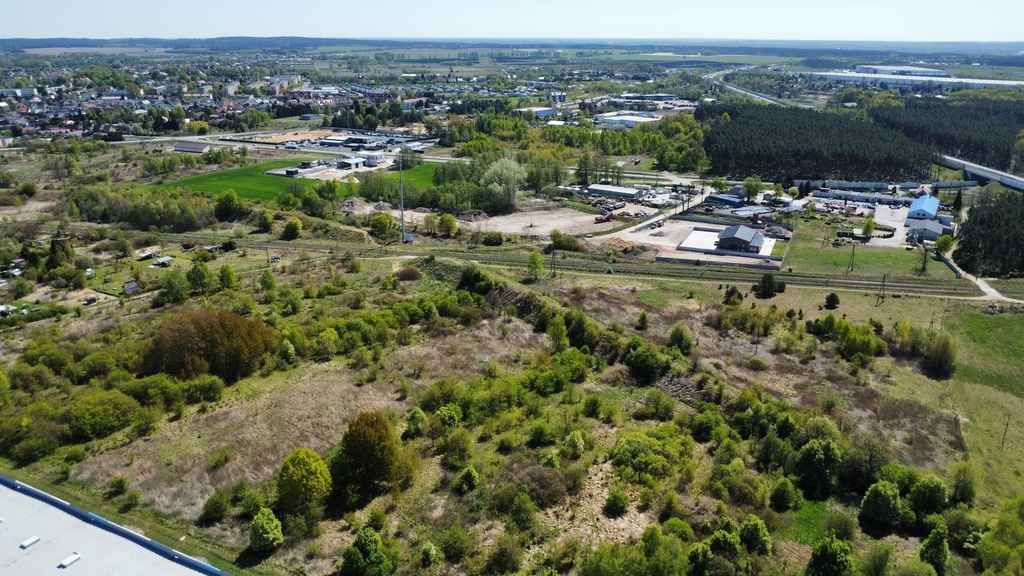 Zdjęcie 12