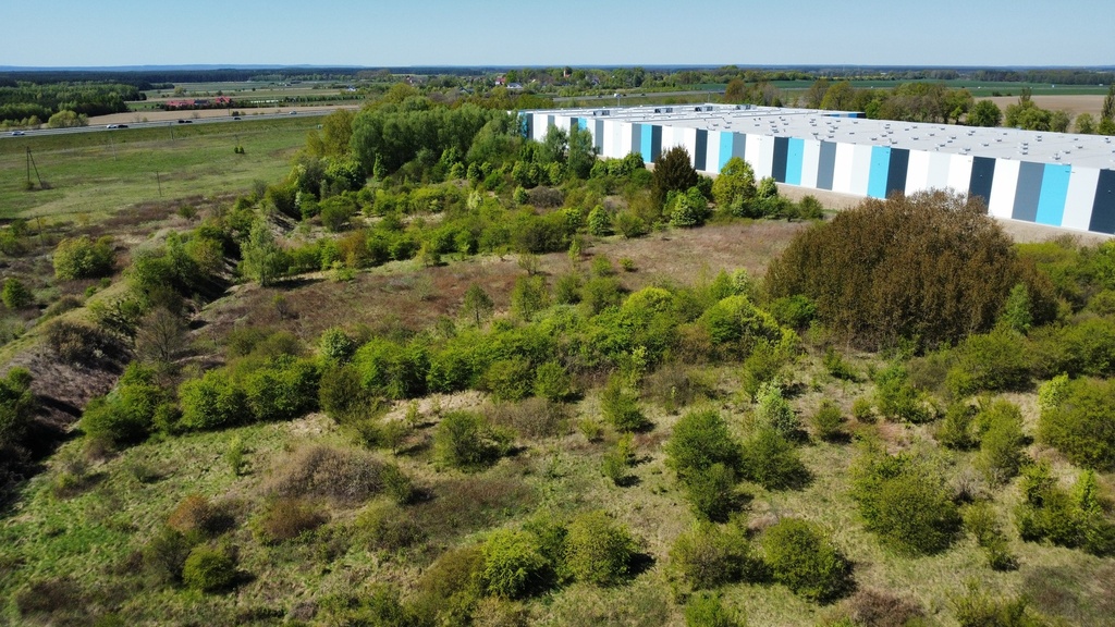 Zdjęcie 16