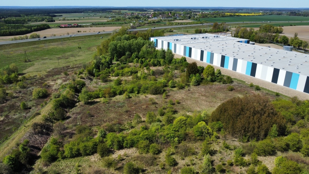 Zdjęcie 17