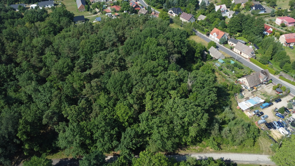 Zdjęcie 11
