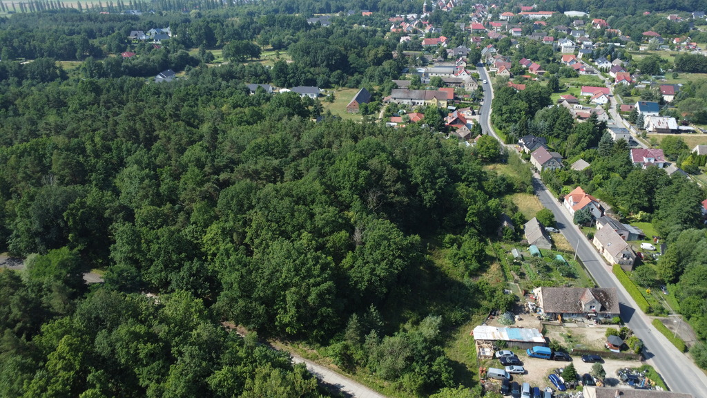 Zdjęcie 12