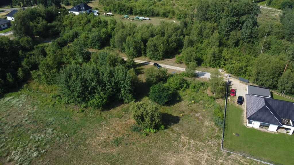 Zdjęcie 11
