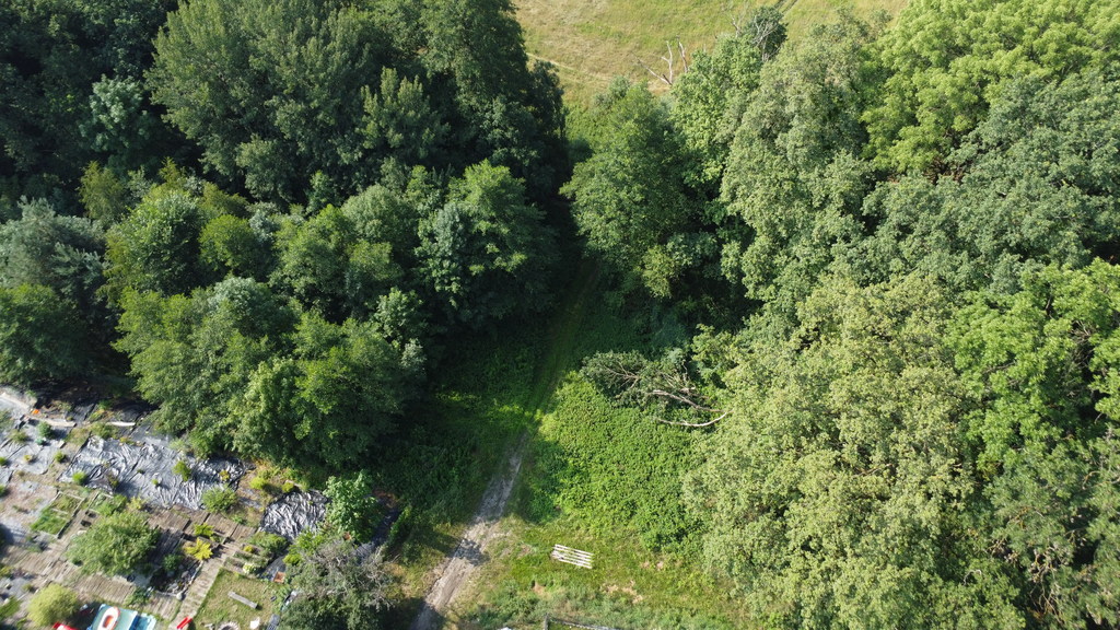 Zdjęcie 19