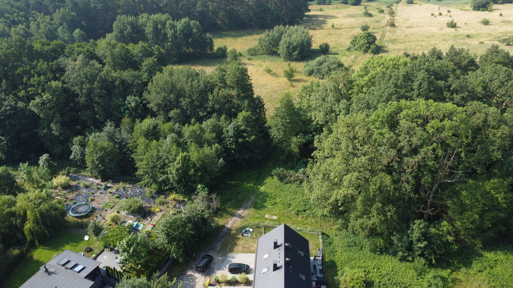 Zdjęcie 20
