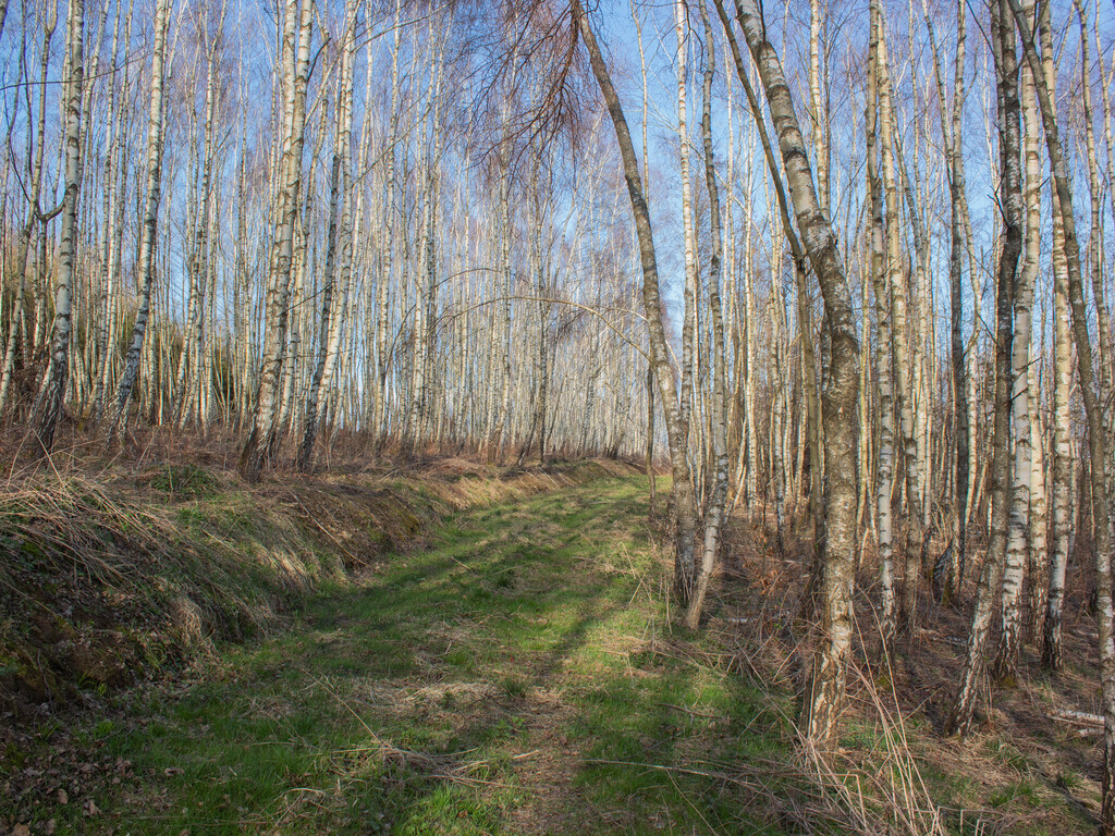 Zdjęcie 6