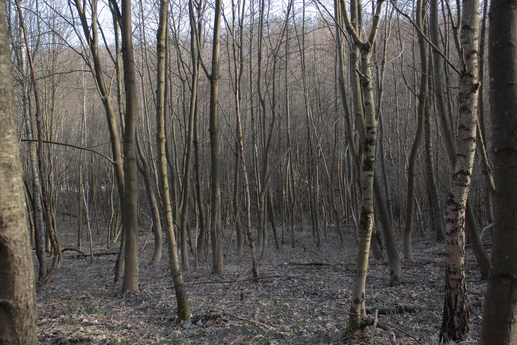 Zdjęcie 14