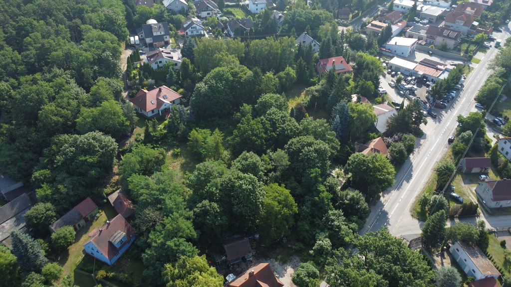 Zdjęcie 8