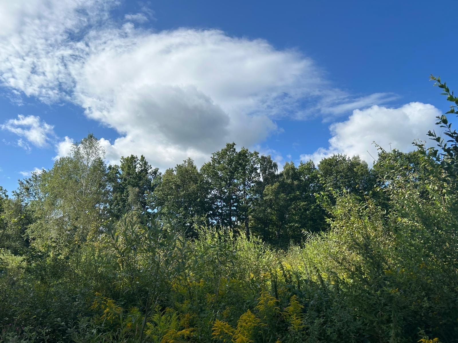 Zdjęcie 10