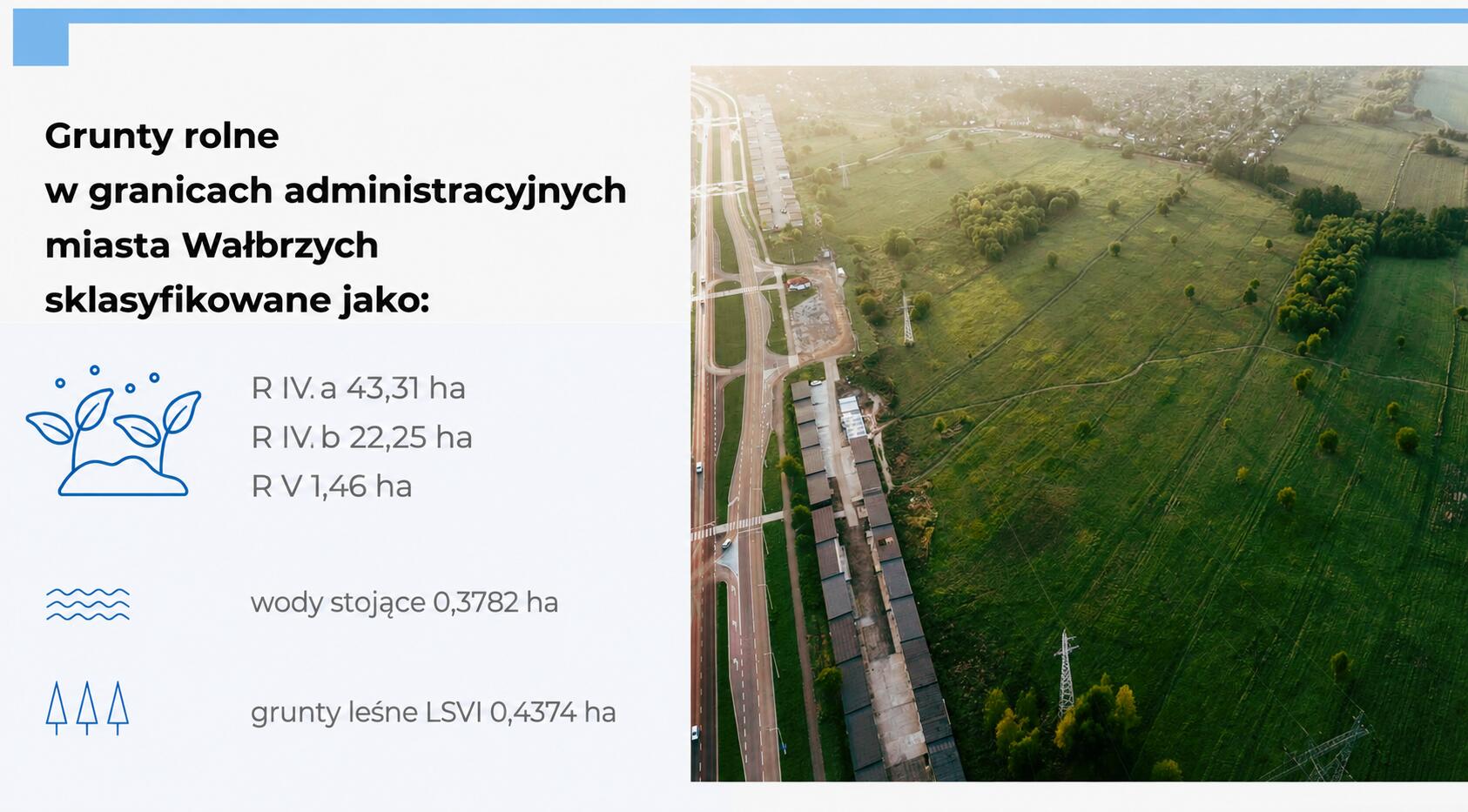 Zdjęcie 6