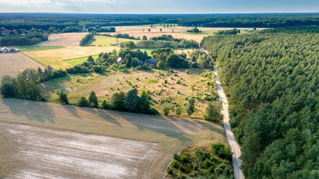 Zdjęcie 10