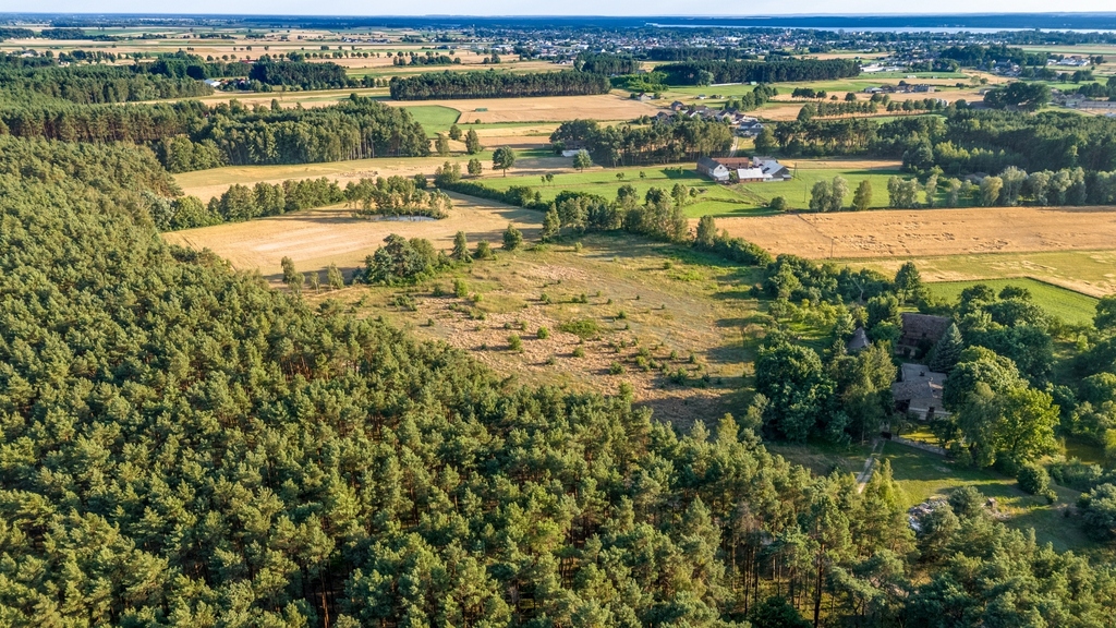 Zdjęcie 11